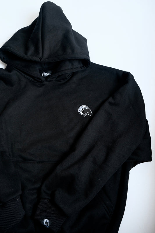 SHROUD HEAVYWEIGHT HOODIE